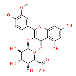 异鼠李素-3-葡萄糖醛酸苷