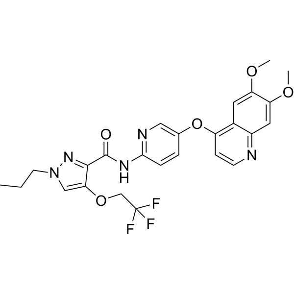 Adrixetinib