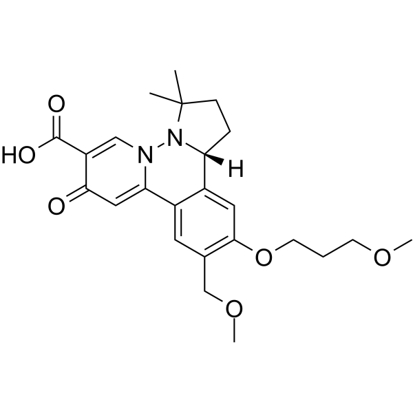 HBV-IN-19