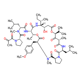 普拉泰