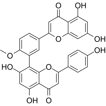 白果黄素