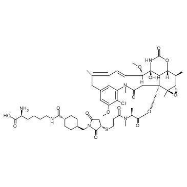 LYS-SMCC-DM1