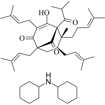 Hyperforin dicyclohexylammonium salt