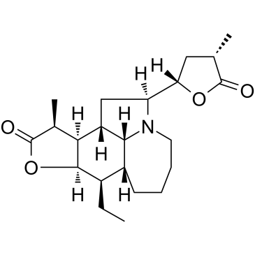 新对叶百部碱