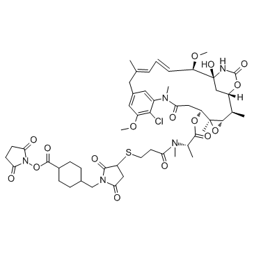 SMCC-DM1