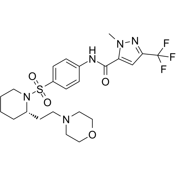 ERDRP-0519