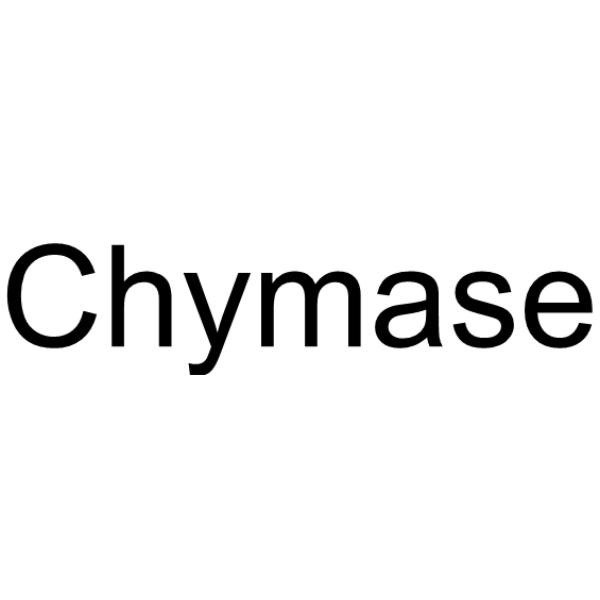 CHYMASE 人