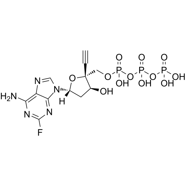 EFdA-TP