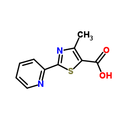 4-甲基-2-(2-吡啶基)噻唑-5-羧酸