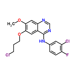 N-(3-氯-4-氟苯基)-6-(3-氯丙氧基)-7-甲基喹唑啉-4-胺