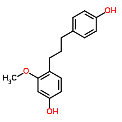 构树宁B