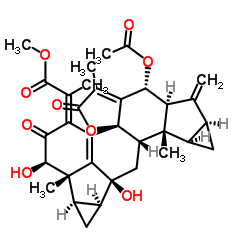 Chlorahololide C