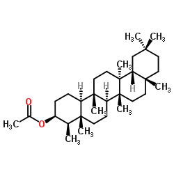 乙酸表无羁萜酯