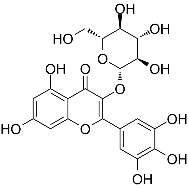 杨梅素-3-O-β-D-葡萄糖苷