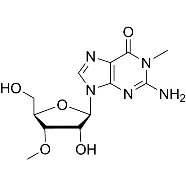 1,3'-Dimethylguanosine