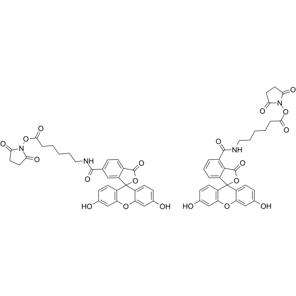 6-[荧光素-5 (6)-甲酰胺基] 己酸 N -羟基琥珀酰亚胺酯