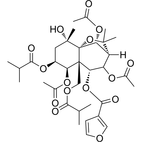 苦皮素B