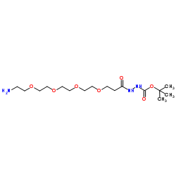 Amino-PEG4-hydrazide-Boc