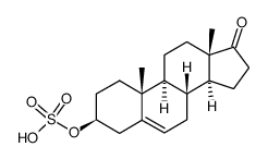 Dehydroepiandrosterone sulfate