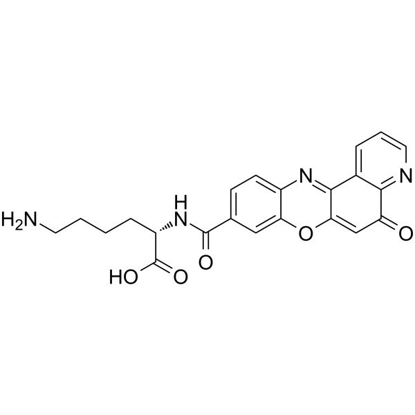 Topoisomerase IIα-IN-1