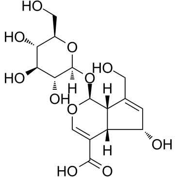 去乙酰基车叶草苷酸