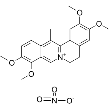 去氢延胡索甲素硝酸盐