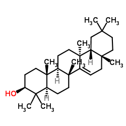 蒲公英赛醇