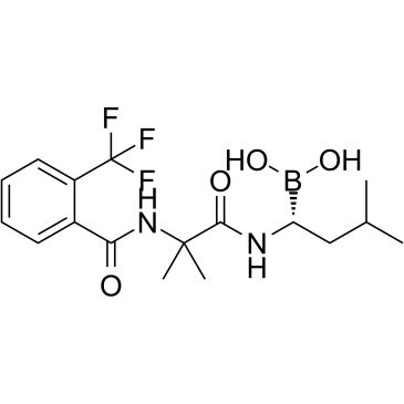 ML604440