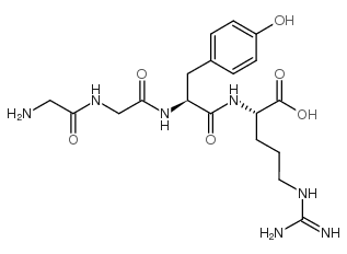 甘氨酰甘氨酰酪氨酰-精氨酸