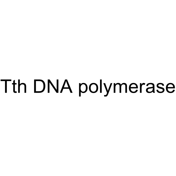 Tth DNA polymerase