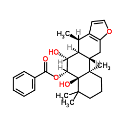 iso-Vouacapenol C