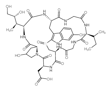 β-鹅膏菌素