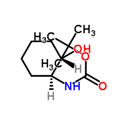 N-((2S,1S)-2-羟基环己基)氨基甲酸叔丁酯