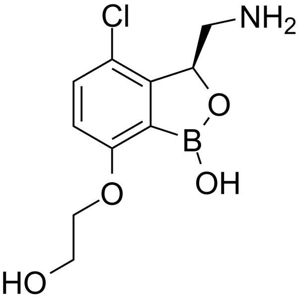 GSK3036656