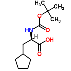 (R)-2-((叔丁氧基羰基)氨基)-3-环戊基丙酸