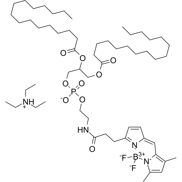 BODIPY FL-DHPE