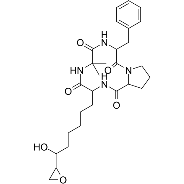 Dihydrochlamydocin