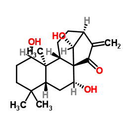 尾叶香茶菜戊素