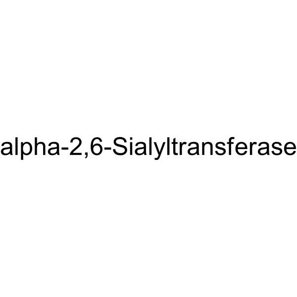 alpha-2,6-Sialyltransferase