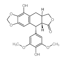 α-角蛋白