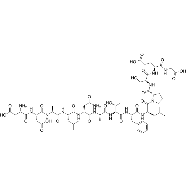 (Thr17)-c-Jun (11-23)