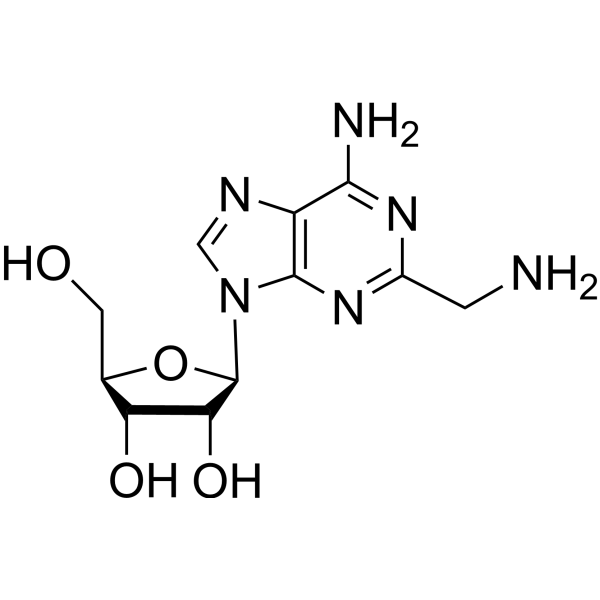 2-Aminomethyl adenosine