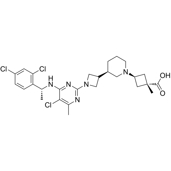 RPT193