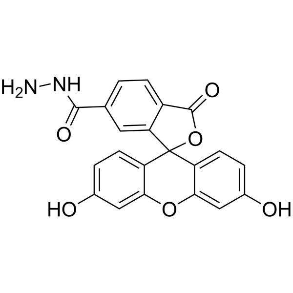 FAM hydrazide, 6-isomer