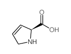 3,4-脱氢-L-脯氨酸