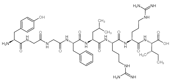 强啡肽1～8片段