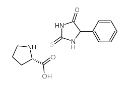 苯基硫代乙内酰脲-脯氨酸