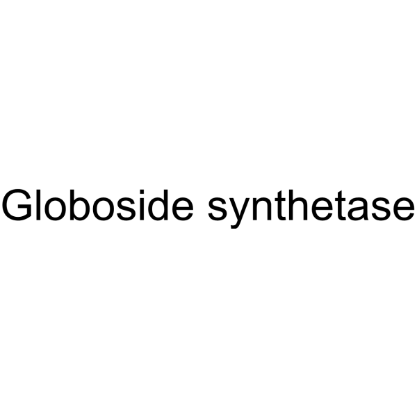 Globoside synthetase