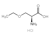 O-乙氧基-L-丝氨酸盐酸盐