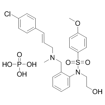 KN-93磷酸盐